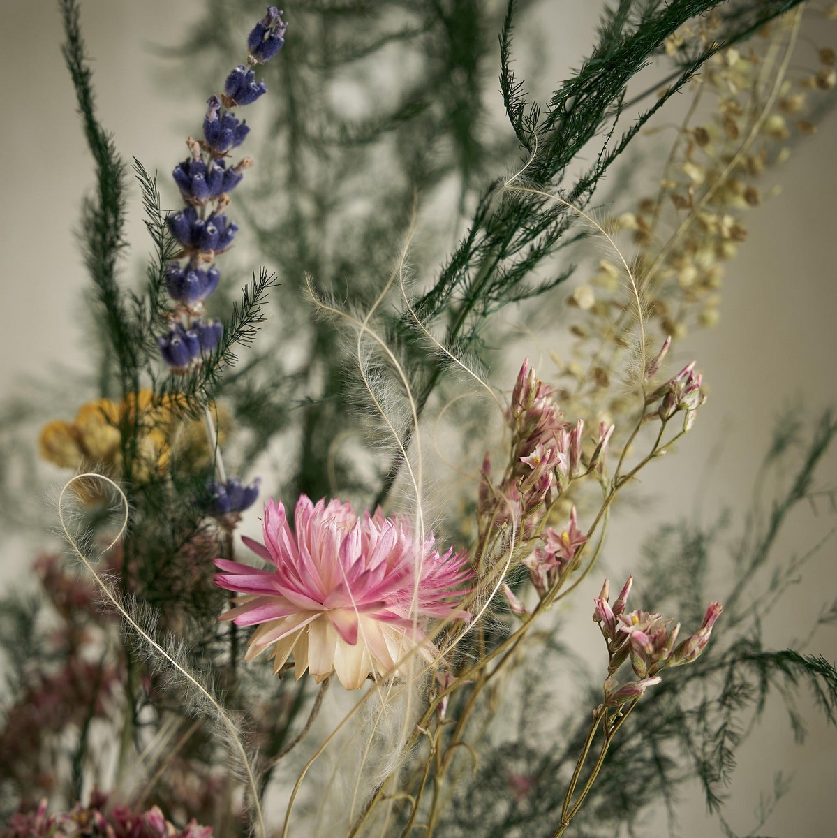 Σύνθεση με αποξηραμένα άνθη Ύψος : 65cm, 60γρ. GOFIS HOME Papaver 181 - Image 2
