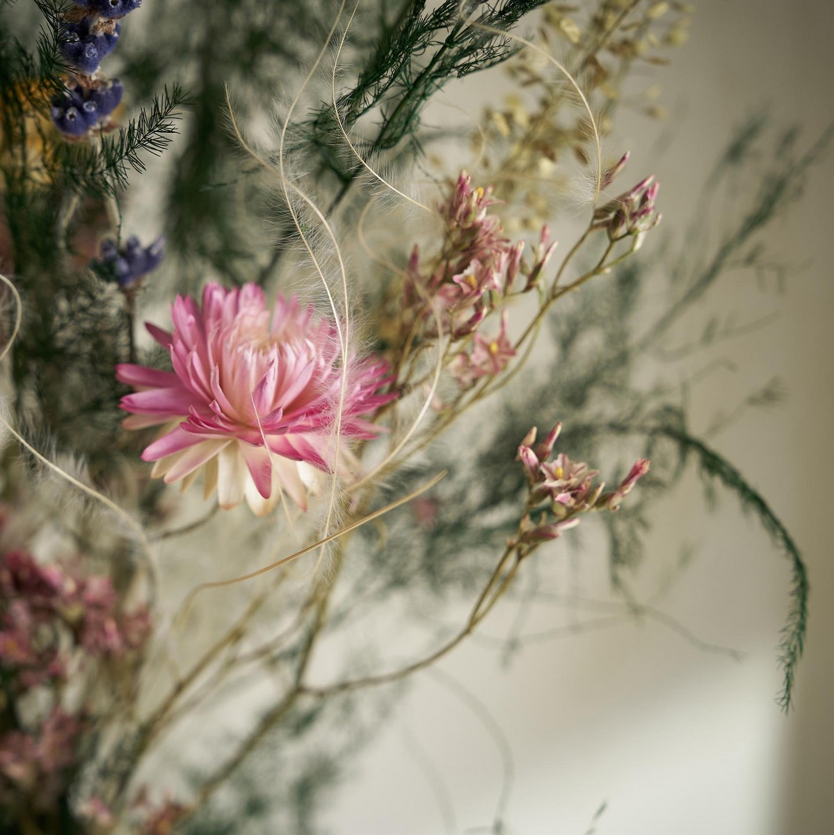 Σύνθεση με αποξηραμένα άνθη Ύψος : 65cm, 60γρ. GOFIS HOME Papaver 181 - Image 3